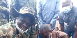 Guinée-Campagne de reboisement 2020: voici le contenu du message du ministre Oyé Guilavogui