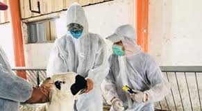 Tabaski2020: A nos lecteurs…