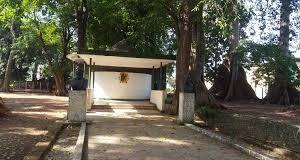 GUINEE : VERS LA DISPARITION DU 1ER JARDIN BOTANIQUE DE L’AFRIQUE DE L’OUEST…