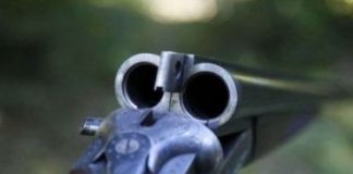 Il CONFOND SON PETIT-FRÈRE AVEC UN SINGE ET LE TUE!