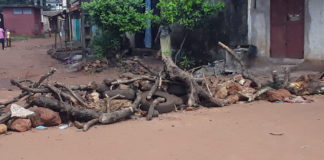 GUINÉE /CRISES POST-ÉLECTORALES: DES CITOYENS TERRÉS CHEZ EUX…