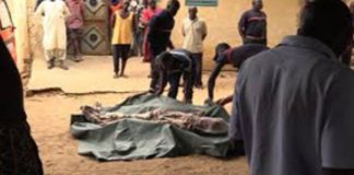 UN MALADE MENTAL TUE SON FRÈRE