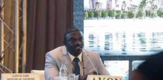 SÉNÉGAL:DÉCOUVREZ LE PROJET DE CONSTRUCTION DE LA CITÉ DU RAPPEUR AKON !