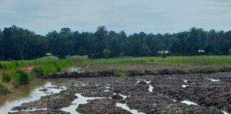 FORÉCARIAH/FORUM AGRO-PASTORAL : CE QU’IL FAUT S’ATTENDRE DE LA 1ERE ÉDITION !