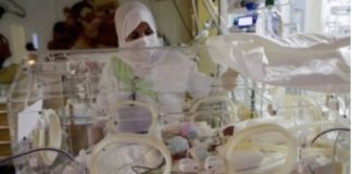 MAROC : L’INCROYABLE HISTOIRE DES NEUF BÉBÉS MALIENS