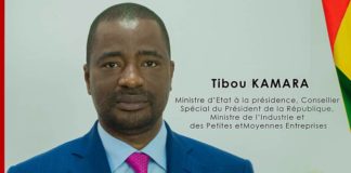 GUINÉE/ÉTAT DE DROIT: QUAND TIBOU PASSE À CÔTÉ DE LA PLAQUE!