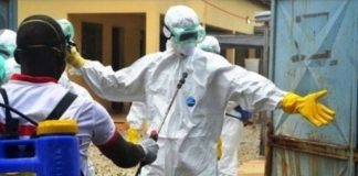 GUINÉE: LA PRÉSENCE DE LA FIÈVRE HÉMORRAGIQUE MARBURG CONFIRMÉE !