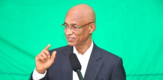 « ALPHA CONDÉ EST TOMBÉ ET NOUS AVONS GAGNÉ LA GUERRE », DIXIT CELLOU DALEIN