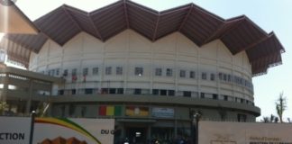 GUINÉE/TRANSITION : PLUSIEURS CADRES LIMOGÉS POUR «CORRUPTION »