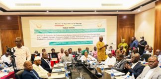 LE GOUVERNEMENT INCITE LE SECTEUR PRIVÉ GUINÉEN A INVESTIR DANS L’AGRICULTURE