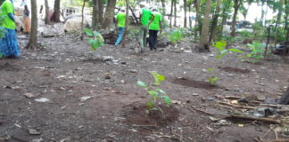 MATOTO/FORÊT CLASSÉE ENTA: L’ONG AJPE ENTAME SA CAMPAGNE DE REBOISEMENT