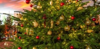 JOYEUX NOËL À NOS LECTEURS ET PARTENAIRES !