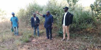 TRANSFORMATION DU MANIOC : LA SCODAA GIE A LA RENCONTRE DES PRODUCTEURS