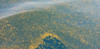 GUINÉE/PÊCHEURS VICTIMES DE POLLUTION: DES PREUVES CONSTITUÉES CONTRE LE NAVIRE!