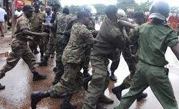 ENTRE CAMPS KM 66 ET KALEYA: D’OÙ LES RECRUES DU MASSACRE ONT-ILS QUITTÉ?