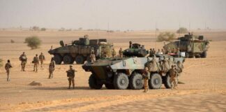VOICI COMMENT LA CEDEAO MÈNERA SON OPÉRATION AU NIGER