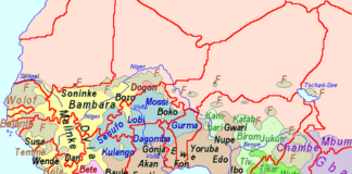 POLITIQUEMENT INCORRECT: LE COUP D’ÉTAT DES ÉTATS-UNIS CONTRE LA CEDEAO!