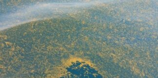 HAUTE MER/PRODUITS TOXIQUES: DES PÊCHEURS VICTIMES DÉNONCENT L’INERTIE DES AUTORITÉS