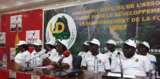 DÉVELOPPEMENT À LA BASE : LES AMBITIONS D’UNE ONG POUR LA FORÊT!