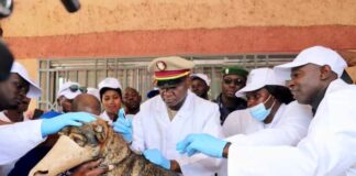 LA JOURNÉE MONDIALE CONTRE LA RAGE CÉLÉBRÉE A KINDIA