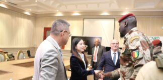 TRANSFORMATION DES RESSOURCES MINIÈRES EN GUINÉE: LES OBSTACLES RENCONTRÉS PAR LE CNRD?