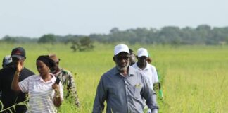 MISSION D’IDENTIFICATION DES BÉNÉFICIAIRES DU PPAU ET SUIVI DE LA CAMPAGNE AGRICOLE…