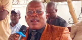 RETOUR À L’ORDRE CONSTITUTIONNEL : POUR L’UDRG DE BAH OURY, LE CNRD EST SUR LA BONNE VOIE