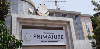 STRUCTURE DU GOUVERNEMENT BAH OURY: DU DÉJÀ VU?