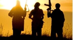 GUINÉE FORESTIÈRE: MOUVEMENTS SUSPECTS DU « TERRORISME »?