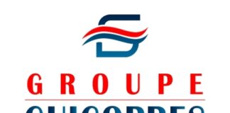 APPEL À CANDIDATURE: GUICOPRES RECRUTE UN DIRECTEUR DE PROJET