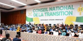 CNT/CONSTITUTION: « TROIS ANS, INCAPABLE DE NOUS SORTIR UN TEXTE… »