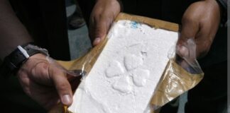 COCAÏNE : CONAKRY EST-ELLE DEVENUE LA PLAQUE TOURNANTE DE LA SOUS-RÉGION?