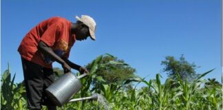 URBANISATION, CLIMAT, AGRICULTURE, PROTECTIONNISME: UN ACTEUR DE LA SOCIÉTÉ CIVILE SUR LES DÉFIS DU MOMENT