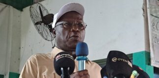 L’UFDG CRAINT QUE DOUMBOUYA SOIT HANTÉ PAR LE SYNDROME DADIS