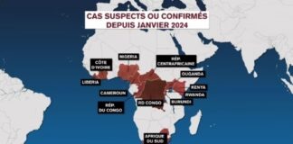 AFRIQUE/MPOX: 18 737 CAS, VOICI LES PAYS TOUCHÉS PAR LA VARIOLE DU SINGE