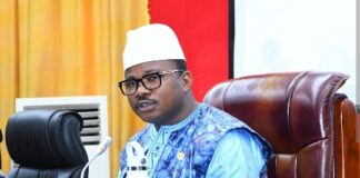 LE REGARD DE MONÉNEMBO SUR LE PROJET CONSTITUTION