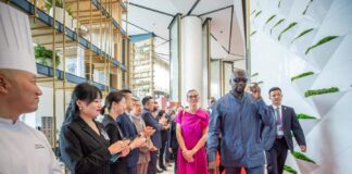 AGRICULTURE, INDUSTRIE, INFRASTRUCTURES, ÉCONOMIE … VOICI L’AGENDA DU GAL. MAMADI DOUMBOUYA À PÉKIN