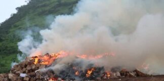 GUINÉE/MÉDICAMENTS CONTREFAITS : 15 CAMIONS DE PRODUITS PROHIBÉS INCINÉRÉS