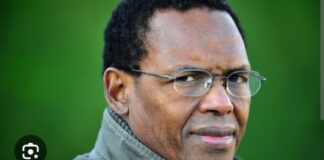 MONÉNEMBO: « …POURQUOI UN SENAT? POURQUOI PAS UN CONSEIL DES ANCIENS…? »