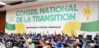 PROJET DE CONSTITUTION: LE CNT OCCULTE UNE DISPOSITION PRIMORDIALE