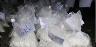 SAISIE DE COCAÏNE: UNE RESSORTISSANTE DE NATIONALITÉ FRANÇAISE ARRÊTÉE