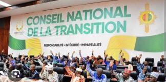 CANDIDATURE DE DOUMBOUYA: UN MEMBRE DU CNT BRISE LE SILENCE?