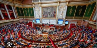 LE PARLEMENT FRANÇAIS ENQUÊTE SUR LA GUINÉE: LE SOUVERAINISME MIS EN JEU?