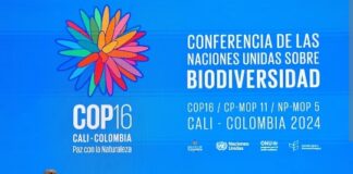 COLOMBIE/COP 16: LA GUINÉE RÉAFFIRME SON ENGAGEMENT POUR LA CONSERVATION DE LA BIODIVERSITÉ