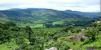 BAKOU/COP 29: LA PRÉSERVATION DU MASSIF DU FOUTA PRÉOCCUPE LA DÉLÉGATION GUINÉENNE