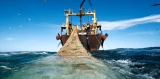 LE MATCH DE LA SEMAINE: LA CHINE ET L’UE SUR LES EAUX POISSONNEUSES DE LA MÉDITERRANÉE