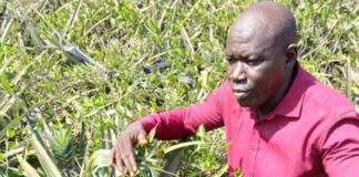 MOHAMED CAMARA : UN ENTREPRENEUR VISIONNAIRE ET POLYVALENT