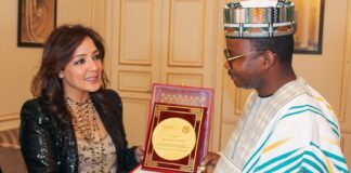 PARIS /DIASPORAS AFRICAINES AU CŒUR DU CHANGEMENT : LANCEMENT DES ÉTATS GÉNÉRAUX DU HCDAF