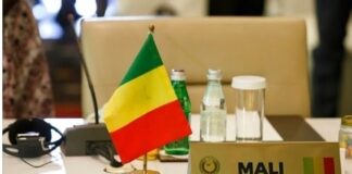CEDEAO & MALI: LA PROCÉDURE DE SÉPARATION ENGAGÉE