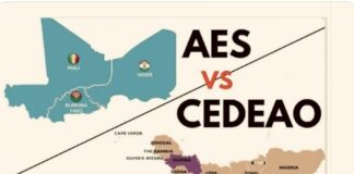 RETRAIT DES ÉTATS DU SAHEL: LES DERNIÈRES DIRECTIVES DE LA CEDEAO?